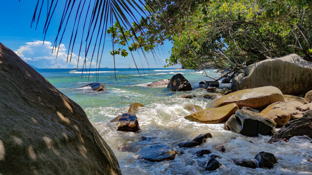 Seychelles, Mahe, Indian icean shore. Rocks, trees and waves.