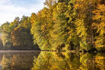 Lake fog landscape with Autumn foliage and tree reflections in Styria, Thal, Austria. Autumn season theme.