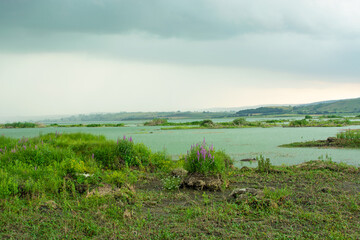 rainy weather and lake view