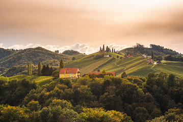 Naklejka premium Styrian Tuscany Vineyard in autumn near Eckberg, Gamliz, Styria, Austria