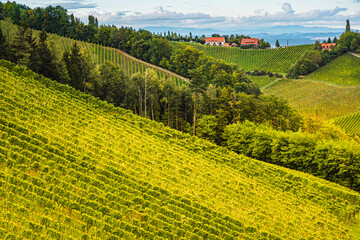 Styrian Tuscany Vineyard in autumn near Eckberg, Gamliz, Styria, Austria