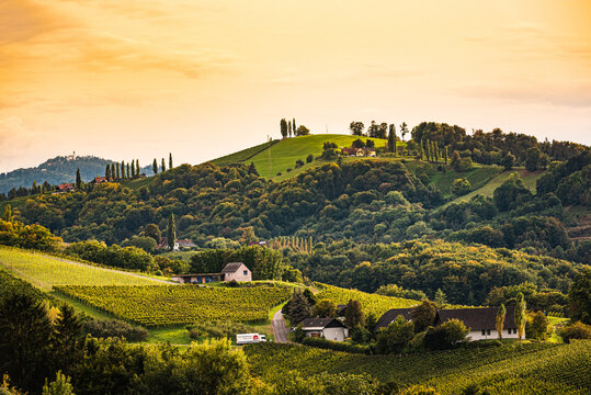 Styrian Tuscany Vineyard in autumn near Eckberg, Gamliz, Styria, Austria