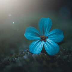 beautiful blue flower in spring season