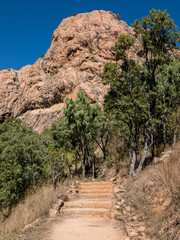 path in the mountains castle hill lookout Townsville 