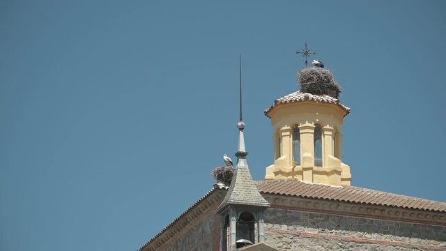 Storks reaching the nest in Brunete church steeple a sunny spring day