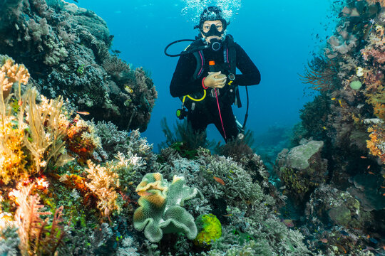 woman exploring the ocean at Raja Ampat / Indonesia