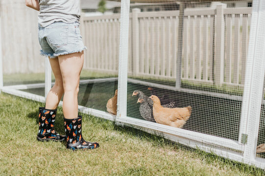Woman lets chickens out of coop in her backyard on a sunny day
