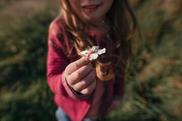 Small child offers spring flower to parent