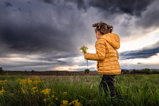 Girl picks spring flowers with oncoming storm in evening sky