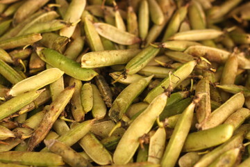 Vetch. The Pea is a green or yellow legume and very nutritious