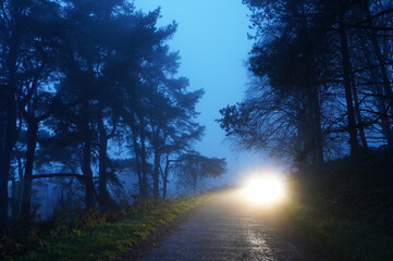 Mysterious glowing headlights on a spooky forest track on a winters night