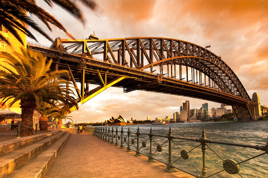 The Bridge