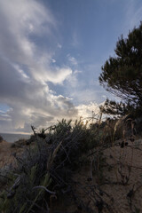 unas vistas de la bella playa de Mazagon, situada en la provincia de Huelva, Espa&ntilde;a. Con sus acantilados , pinos, dunas , vegetacion verde y un cielo con nubes. Atardeceres preciosos