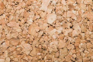 Corkwood texture macro. wooden background