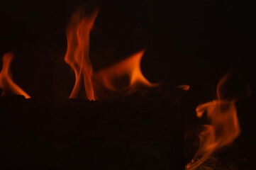 Burning wood in the fireplace. flame in the bonfire