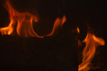 Burning wood in the fireplace. flame in the bonfire