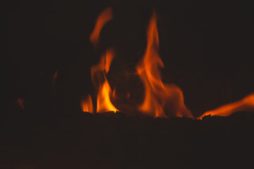 Fototapeta premium Burning wood in the fireplace. flame in the bonfire