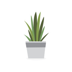 Plant On Pot Image Vector illustration
