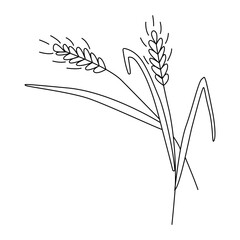 Ears, branches of wheat or barley. Grain harvest. Vector illustration for brewing, agriculture, logo, print, poster. Drawn in doodle style by outline