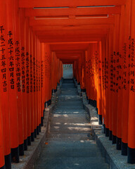 symmetrical orange and black torii gates with nobody in middle of gate