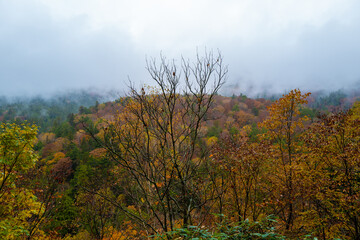 尾瀬ヶ原湿原の紅葉の風景 燧ヶ岳 至仏山 Scenery of autumn leaves in Ozegahara marshland Mt.Hiuchigadake Mt.Shibutsusan