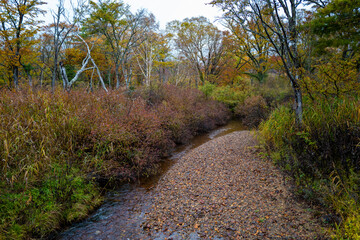 尾瀬ヶ原湿原の紅葉の風景 燧ヶ岳 至仏山 Scenery of autumn leaves in Ozegahara marshland Mt.Hiuchigadake Mt.Shibutsusan