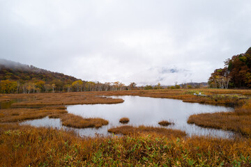 尾瀬ヶ原湿原の紅葉の風景 燧ヶ岳 至仏山 Scenery of autumn leaves in Ozegahara marshland Mt.Hiuchigadake Mt.Shibutsusan