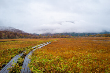 尾瀬ヶ原湿原の紅葉の風景 燧ヶ岳 至仏山 Scenery of autumn leaves in Ozegahara marshland Mt.Hiuchigadake Mt.Shibutsusan