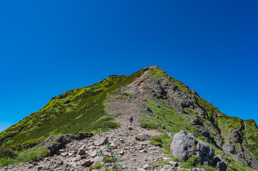 赤岳への道