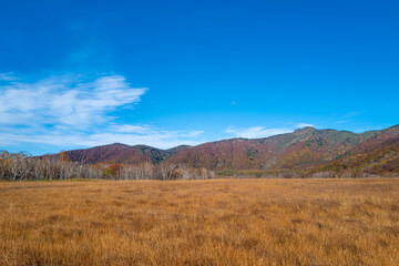 尾瀬ヶ原湿原の紅葉の風景 燧ヶ岳 至仏山 Scenery of autumn leaves in Ozegahara marshland Mt.Hiuchigadake Mt.Shibutsusan