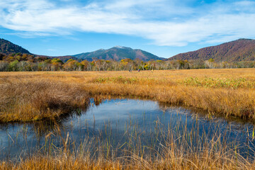 尾瀬ヶ原湿原の紅葉の風景 燧ヶ岳 至仏山 Scenery of autumn leaves in Ozegahara marshland Mt.Hiuchigadake Mt.Shibutsusan
