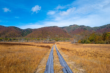 尾瀬ヶ原湿原の紅葉の風景 燧ヶ岳 至仏山 Scenery of autumn leaves in Ozegahara marshland Mt.Hiuchigadake Mt.Shibutsusan
