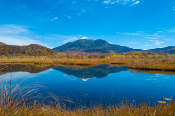 Fototapeta premium 尾瀬ヶ原湿原の紅葉の風景 燧ヶ岳 至仏山 Scenery of autumn leaves in Ozegahara marshland Mt.Hiuchigadake Mt.Shibutsusan