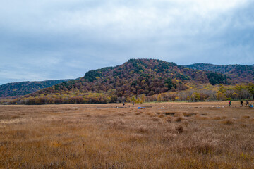 尾瀬ヶ原湿原の紅葉の風景 燧ヶ岳 至仏山 Scenery of autumn leaves in Ozegahara marshland Mt.Hiuchigadake Mt.Shibutsusan