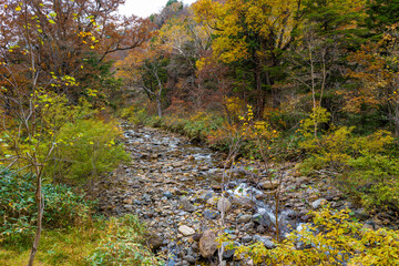 尾瀬ヶ原湿原の紅葉の風景 燧ヶ岳 至仏山 Scenery of autumn leaves in Ozegahara marshland Mt.Hiuchigadake Mt.Shibutsusan