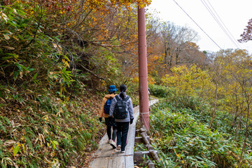 尾瀬ヶ原湿原の紅葉の風景 燧ヶ岳 至仏山 Scenery of autumn leaves in Ozegahara marshland Mt.Hiuchigadake Mt.Shibutsusan