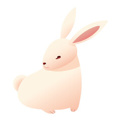 cute white rabbit