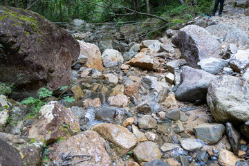 夏の瑞牆山の登山道の風景 A view of the trail in summer at Mt.Mizugakiyama.