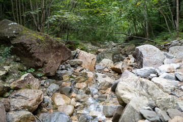 夏の瑞牆山の登山道の風景 A view of the trail in summer at Mt.Mizugakiyama.