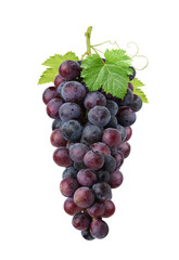 Black grape cluster with leaves isolated on white background.
