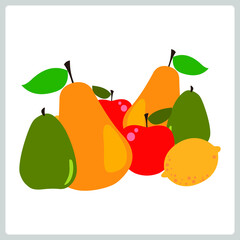 Vector illustration for Fruits EPS10