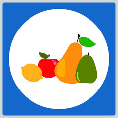 Vector illustration for Fruits EPS10