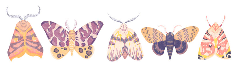 Watercolor illustartion with exotic butterflies, moths set isolated on white background. Perfect for you unique creation, print, wallpaper, greeting card, invitations etc.