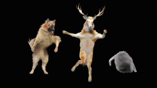 dog deer penguin Dancing CG fur. 3d rendering, animal realistic CGI VFX, Animation Loop, composition 3d mapping cartoon, Included in the end of the clip with Alpha matte.