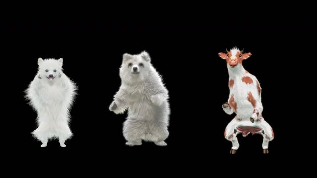 dog bear cow Dancing CG fur. 3d rendering, animal realistic CGI VFX, Animation Loop, composition 3d mapping cartoon, Included in the end of the clip with Alpha matte.