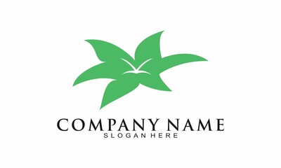 Leaf illustration simple logo