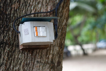 Obraz na płótnie Canvas electrical circuit plugged in a tree