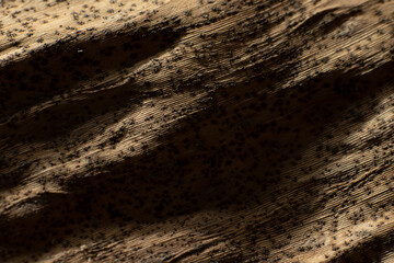 the beauty and uniqueness of the texture of dried banana leaves