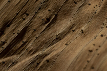 Obraz premium the beauty and uniqueness of the texture of dried banana leaves