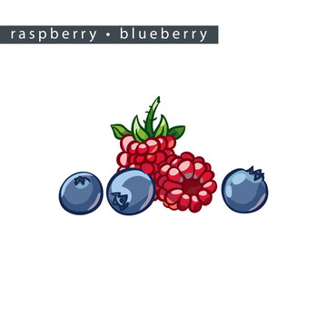sketch_raspberry_blueberry_five_berries